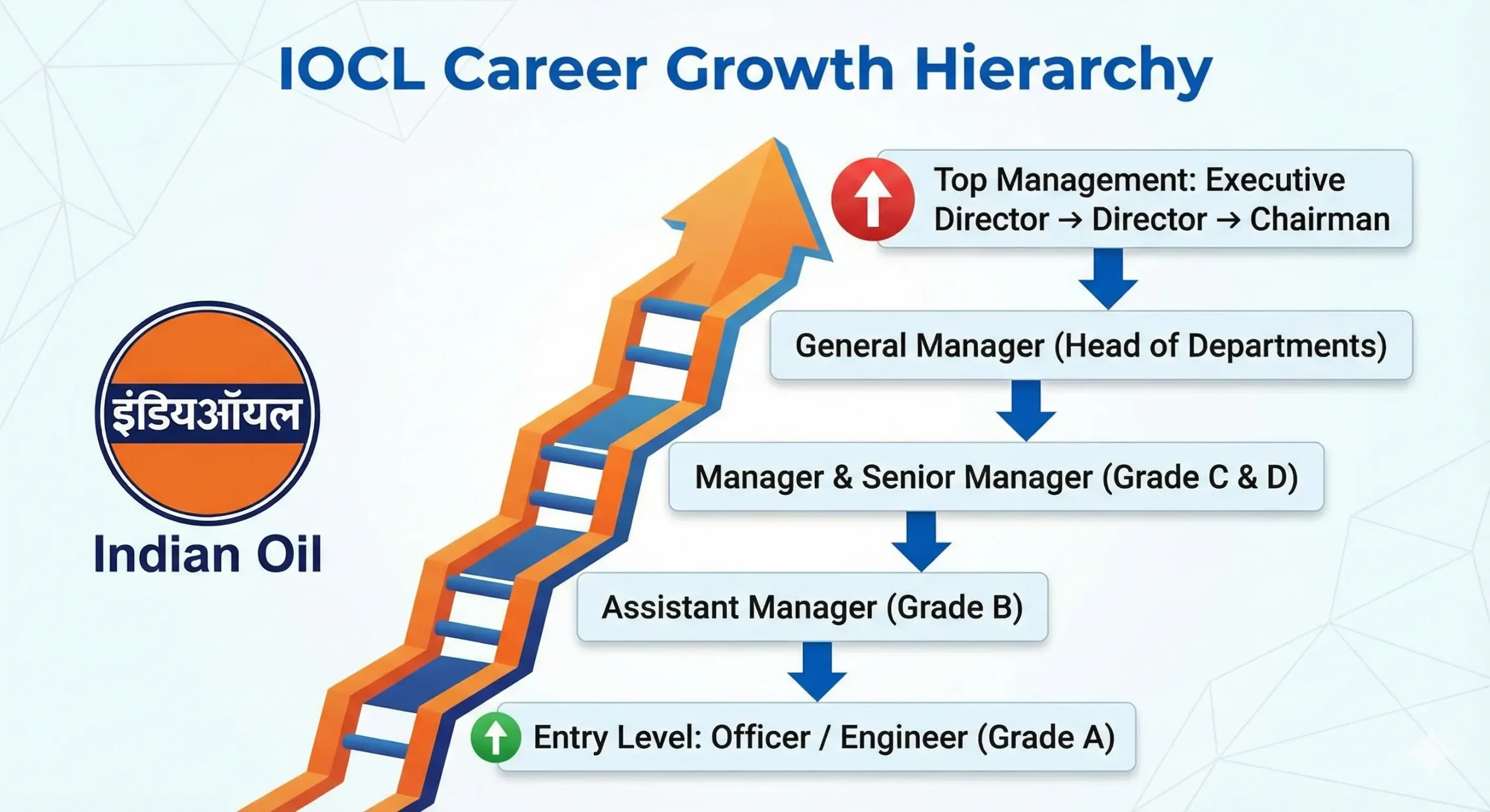 Infographic showing the IOCL career growth ladder from Entry Level Officer (Grade A) to Top Management (Chairman).